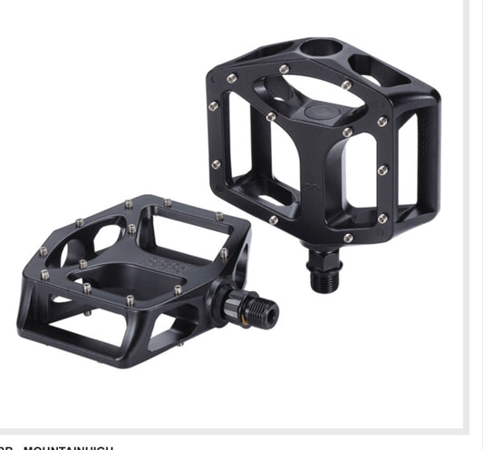 Assault bike Pedals